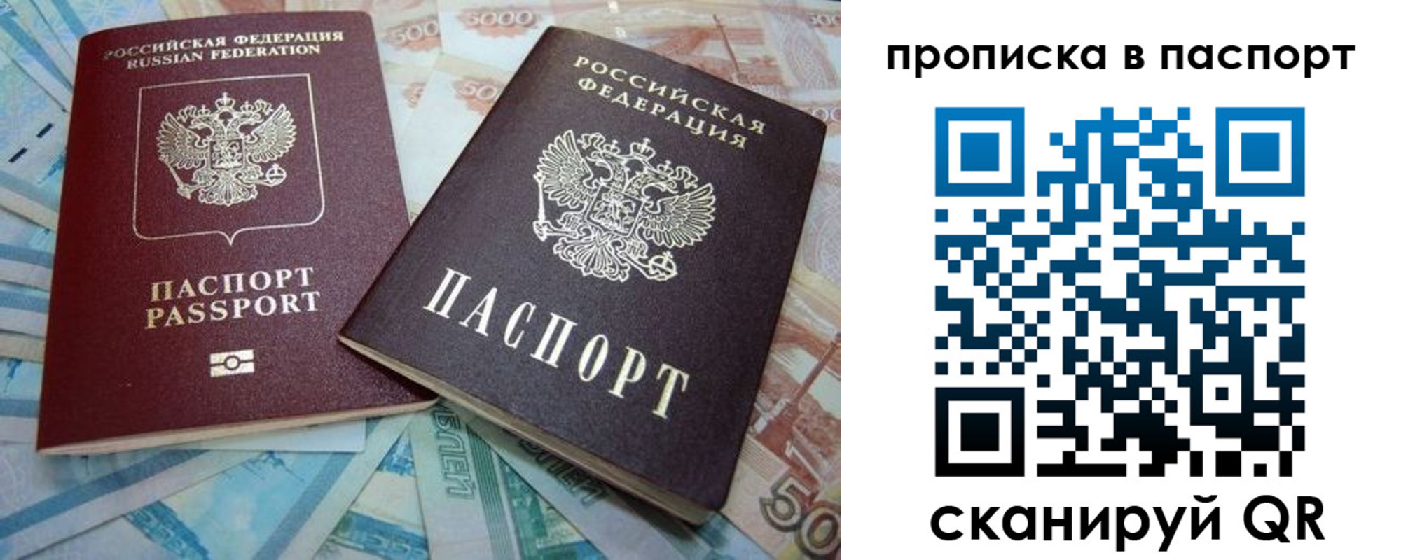 прописка поиск в Электрогорске